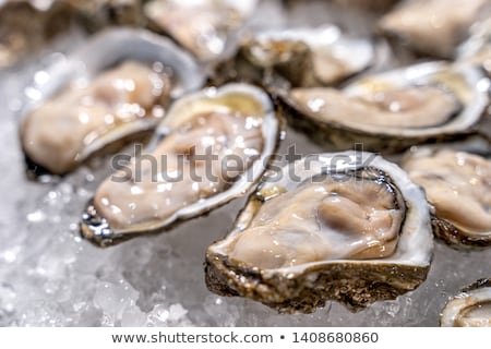 Stock fotó: Plate Of Expensive Oysters