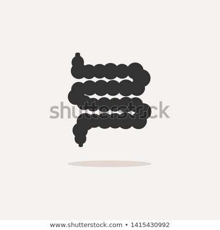 Zdjęcia stock: Human Organ Intestine Icon With Shadow On Beige Background