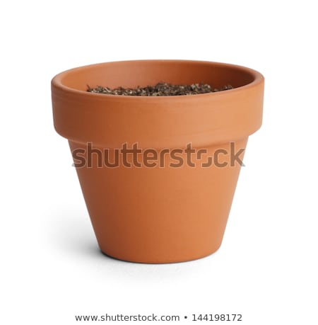 Stock photo: Plant In Pot With Soil Isolated