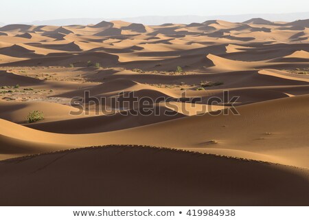 Сток-фото: Desert In Western Sahara
