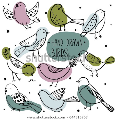 Сток-фото: Hand Drawn Birds Set