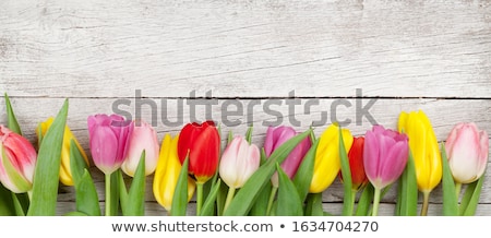 Foto stock: Tulips On A Wooden Background