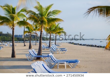 Foto stock: Beautiful Empty Beach In The Keys