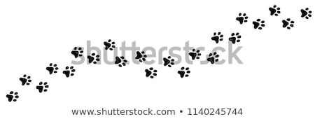 Foto stock: The Dogs Tracks