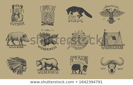 Stock photo: Vintage Hand Drawn Camping Badges And Patches Mountains And River In Jar In Retro Textured Style A