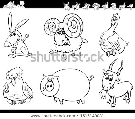 Сток-фото: Funny Comic Pig Cartoon Character Color Book