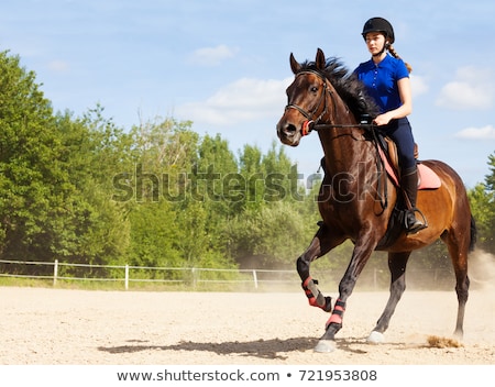 Stockfoto: Female Rider Trains The Horse In The Riding Course