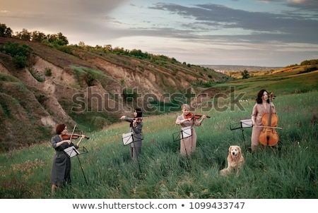 Trei violoniști stau și se joacă pe iarbă împotriva cerului Imagine de stoc © Stasia04