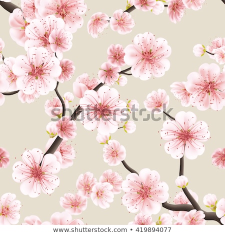 Stock fotó: Seamless Pink Sakura Flowering Cherry Eps 10