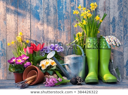 Stock photo: Plant Pots In Yard