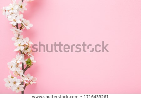 Stok fotoğraf: Colored Floral Template With Place For Text