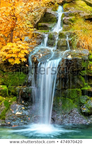 Autumn Waterfall Landscape Imagine de stoc © Taiga