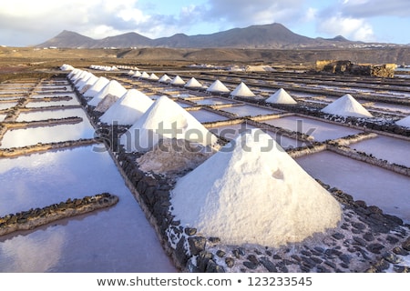 Stockfoto: Salt Refinery Saline From Janubio Lanzarote Spain