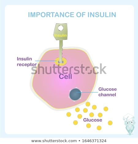 Сток-фото: How Does Insulin Work