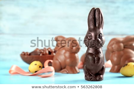 Сток-фото: Brown Easter Bunny Chocolate Egg