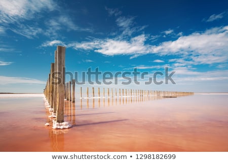 Stock fotó: Amazing Real Pink Color Salt Lake And Deep Blue Sky