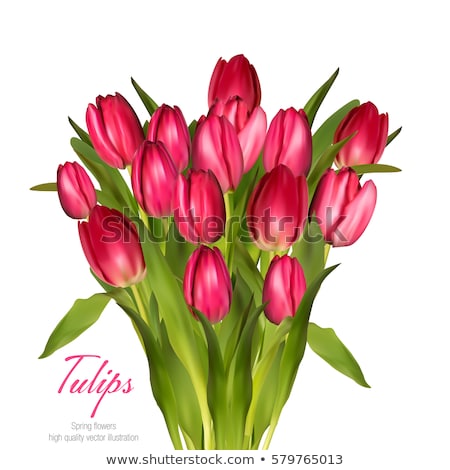 Zdjęcia stock: Yellow Tulip Flowers Bouquet Vector Realistic Banner Spring Season Template Blue Wooden Background