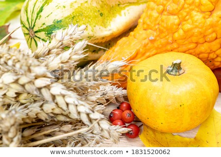 Foto stock: Autumn Composition From Dry And Green Oat Leaves And Acorns