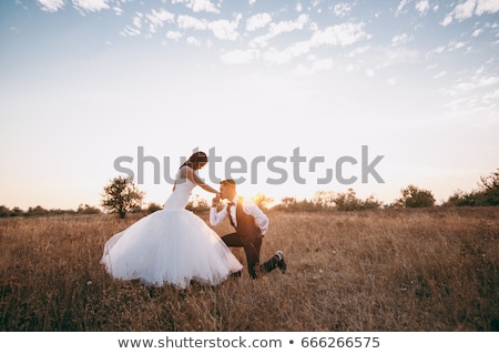 [[stock_photo]]: Newly Married Couple Kissing On The Beach