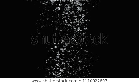 Bubbles On Black Background ストックフォト © gnepphoto