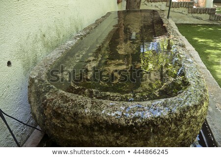 Stock fotó: Thirsty Horses At The Watering Place