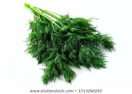 Stockfoto: Bunch Of Fresh Dill