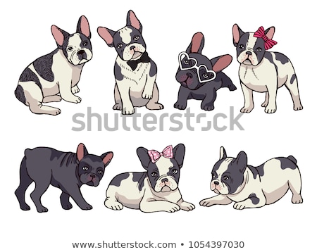 Foto d'archivio: Dog Breed French Bulldog In Glasses