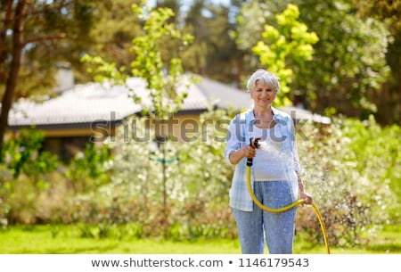 Stok fotoğraf: Senior Woman Watering Lawn By Hose At Garden
