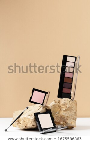 Foto d'archivio: Eyeshadow Palette On A White Background - Light Skin Tones