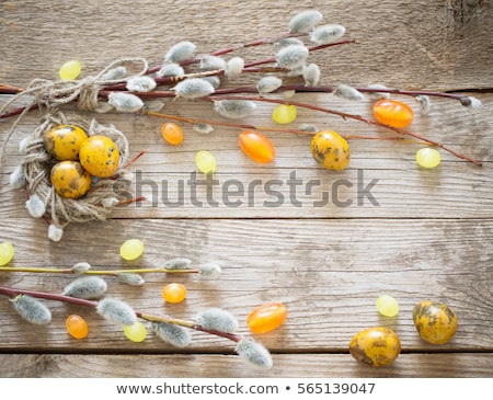 Foto stock: Quail Eggs On Pink Background With Willow Branch