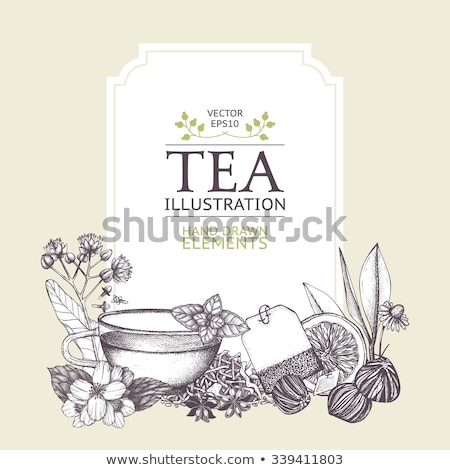 Foto stock: Chamomile Tea In Vintage Cup Isolated On White Background