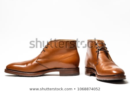 Stock photo: The Brown Elegant Mens Shoes On The White Isolated Background