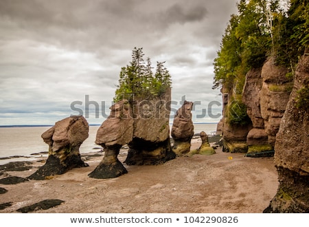 Foto stock: Hopewell Rock Formation