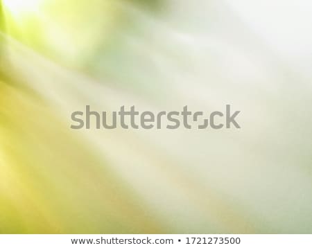 Stock photo: Abstract Blurry Green Light Pattern Background