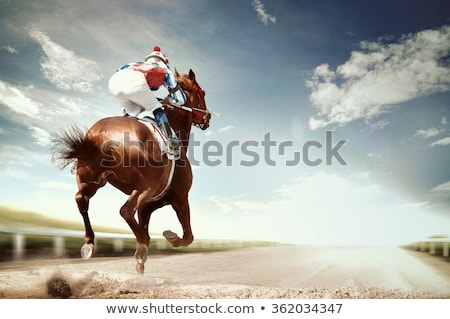 Foto stock: Jockey And Horse