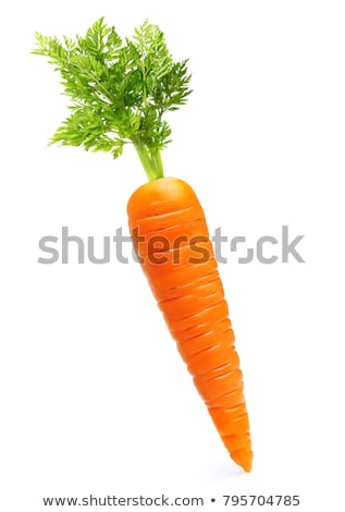 Zdjęcia stock: Fresh Carrots Isolated