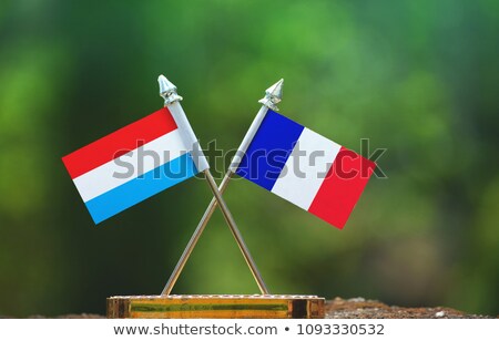 Foto stock: France And Luxembourg Flags