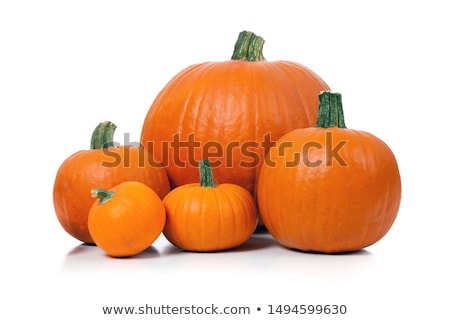 ストックフォト: Ripe Pumpkin Isolated On White Background