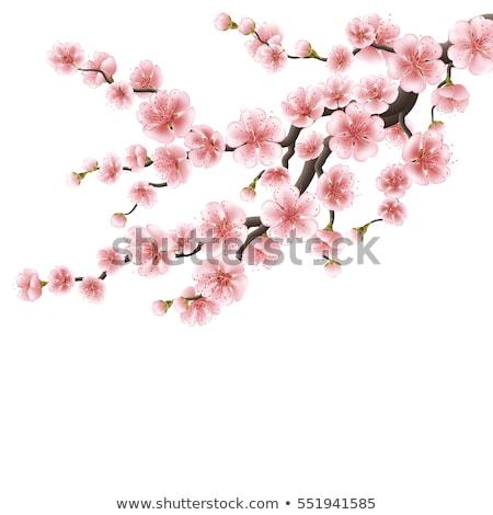 Stockfoto: Realistic Sakura Japan Cherry Branch Eps 10