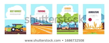 Stock fotó: Agricultural Machinery Set Cartoon Vector Banner