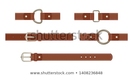 ストックフォト: Belt