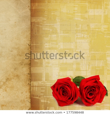 Foto stock: Grunge Paper In Scrapbooking Style With Bunch Of Rose