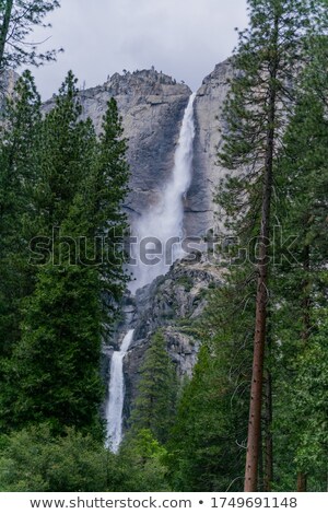 ストックフォト: Yosemite Waterfall