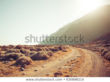 Foto stock: Off Road Track In Country