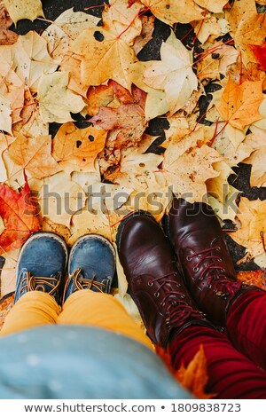 Stok fotoğraf: Brown Female Boots On A Background Of Golden Autumn Leaves