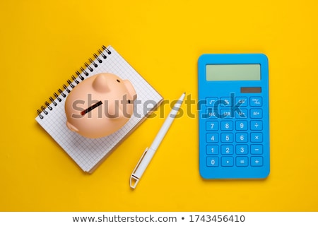 Stok fotoğraf: Piggy Bank With Calculator