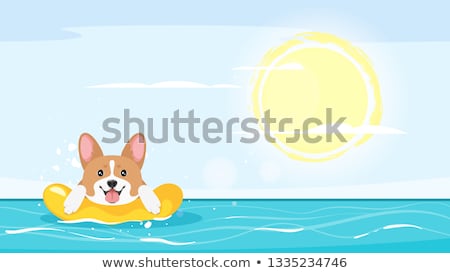 Сток-фото: Dog On Summer Vacation