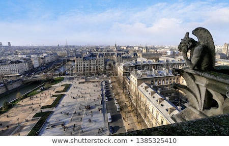 Stock photo: Gargoyle Of Paris