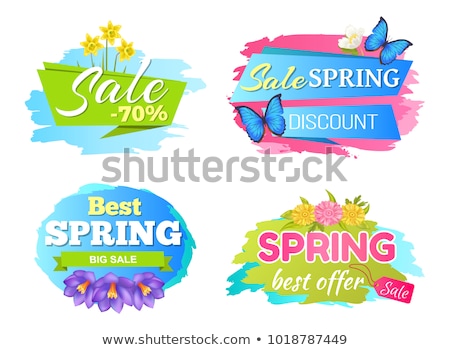 [[stock_photo]]: Best Big Spring Sale Vector Discount Advert