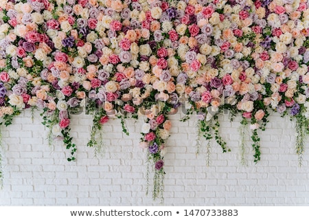 Foto stock: Flowers On Wall